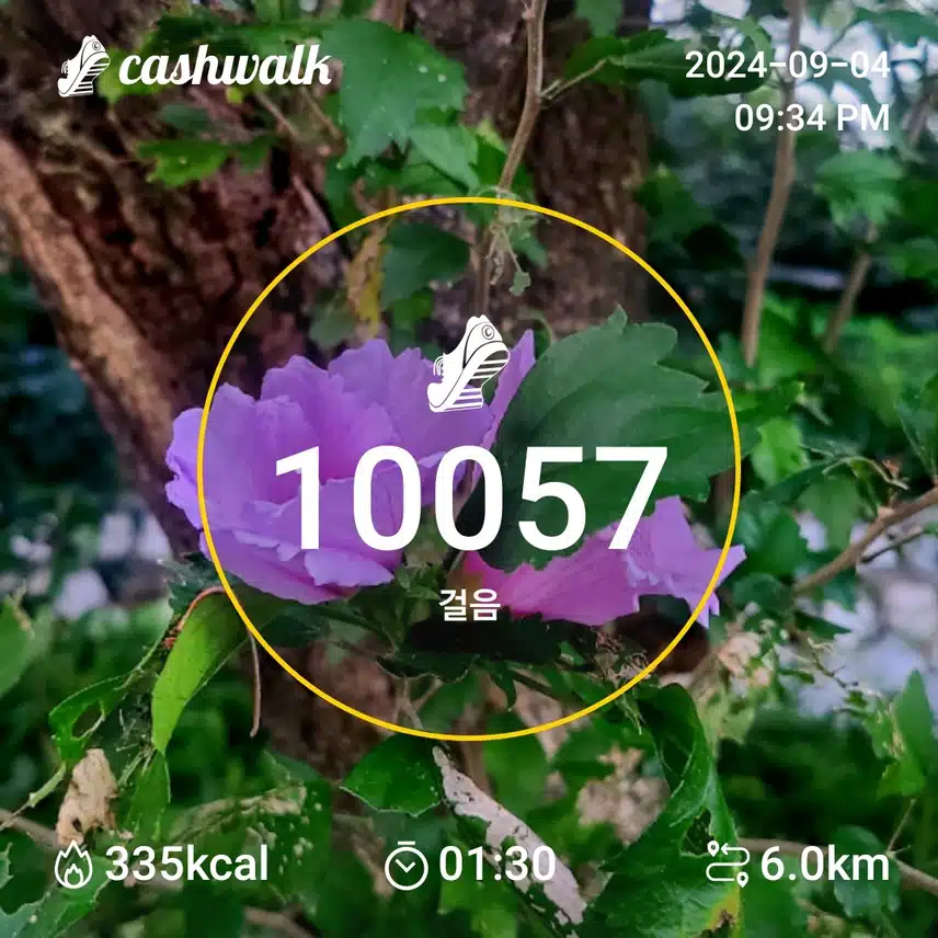 인증