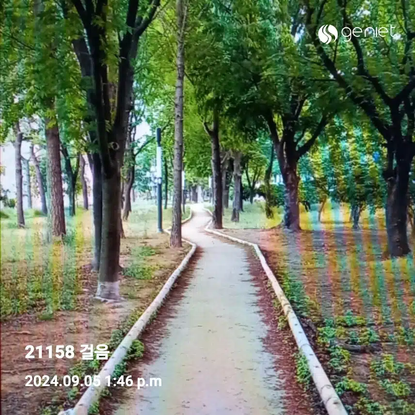 5000보인증