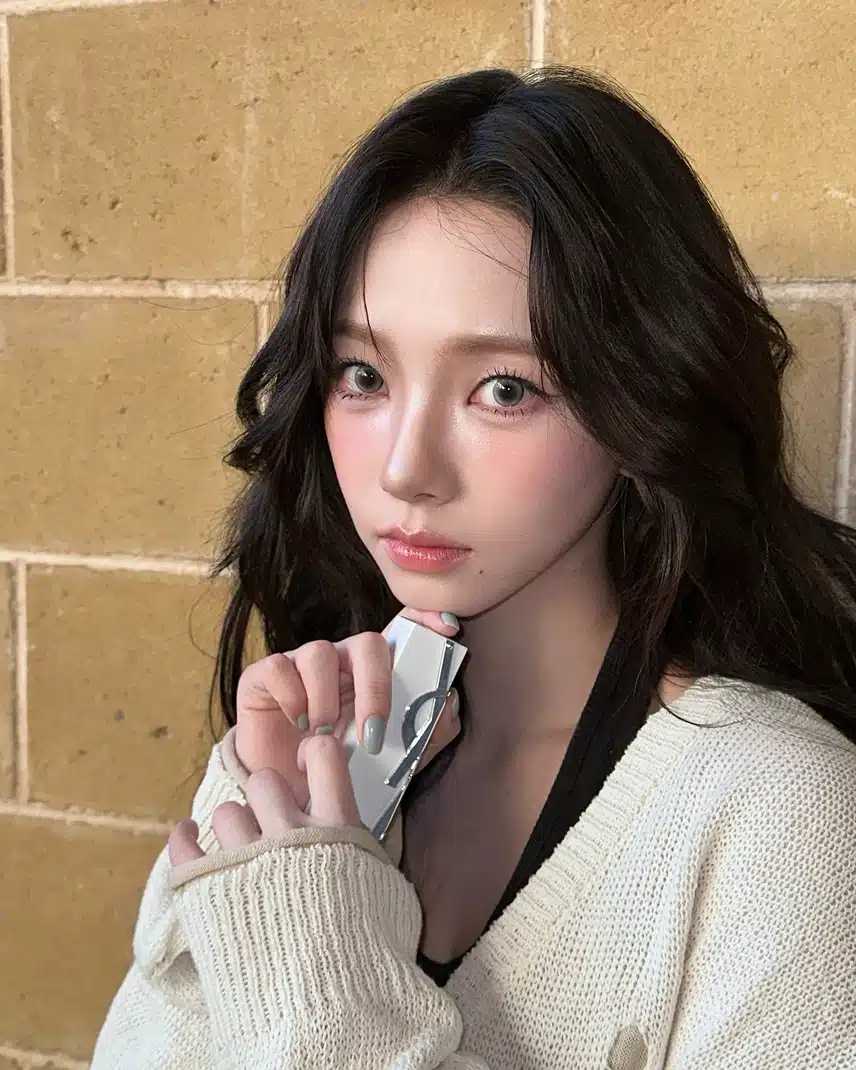 지미니 얼굴이 작은걸까? 