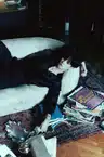 board-img