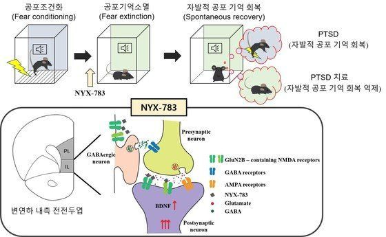 ptsd 치료 과정 후기