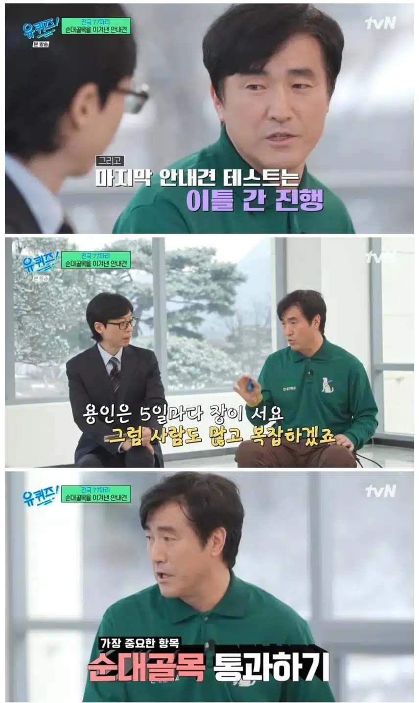안내견 마지막 최종 테스트