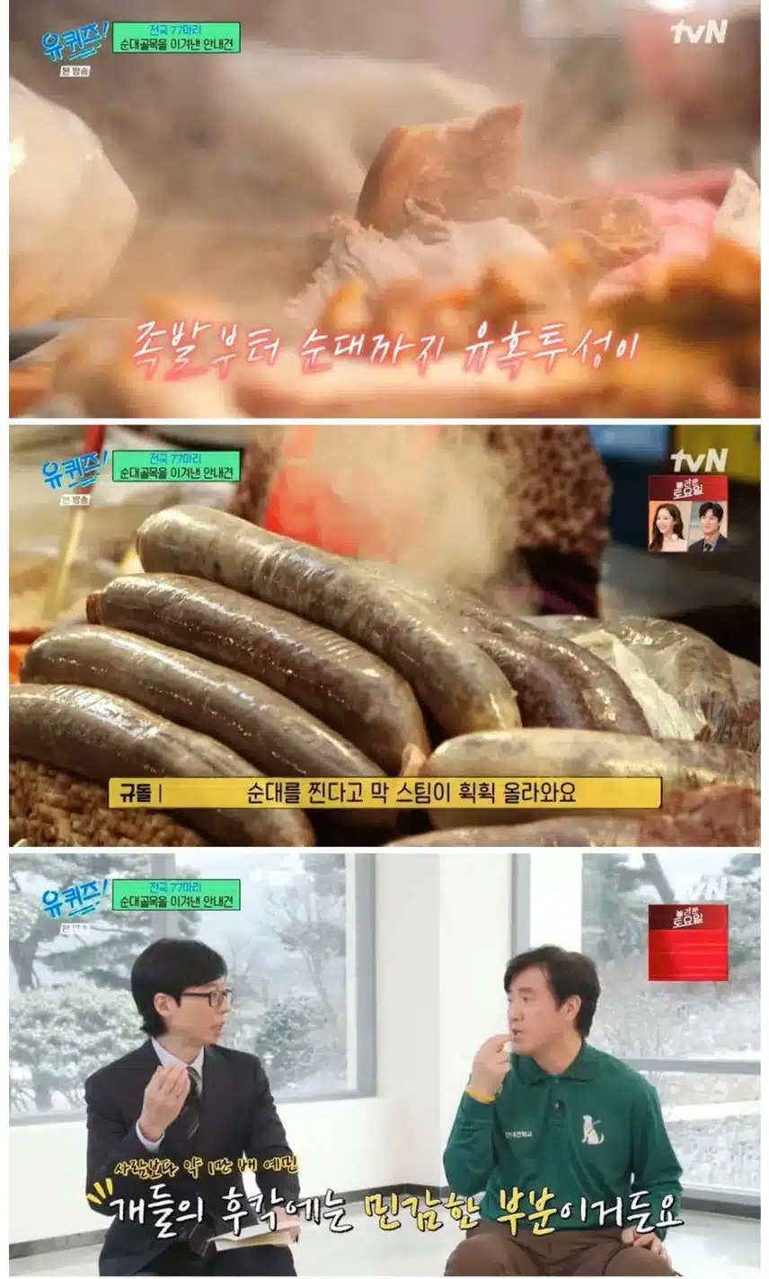 안내견 마지막 최종 테스트