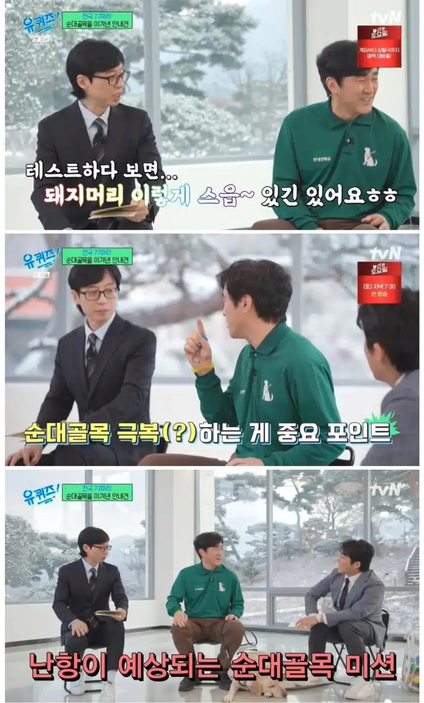안내견 마지막 최종 테스트