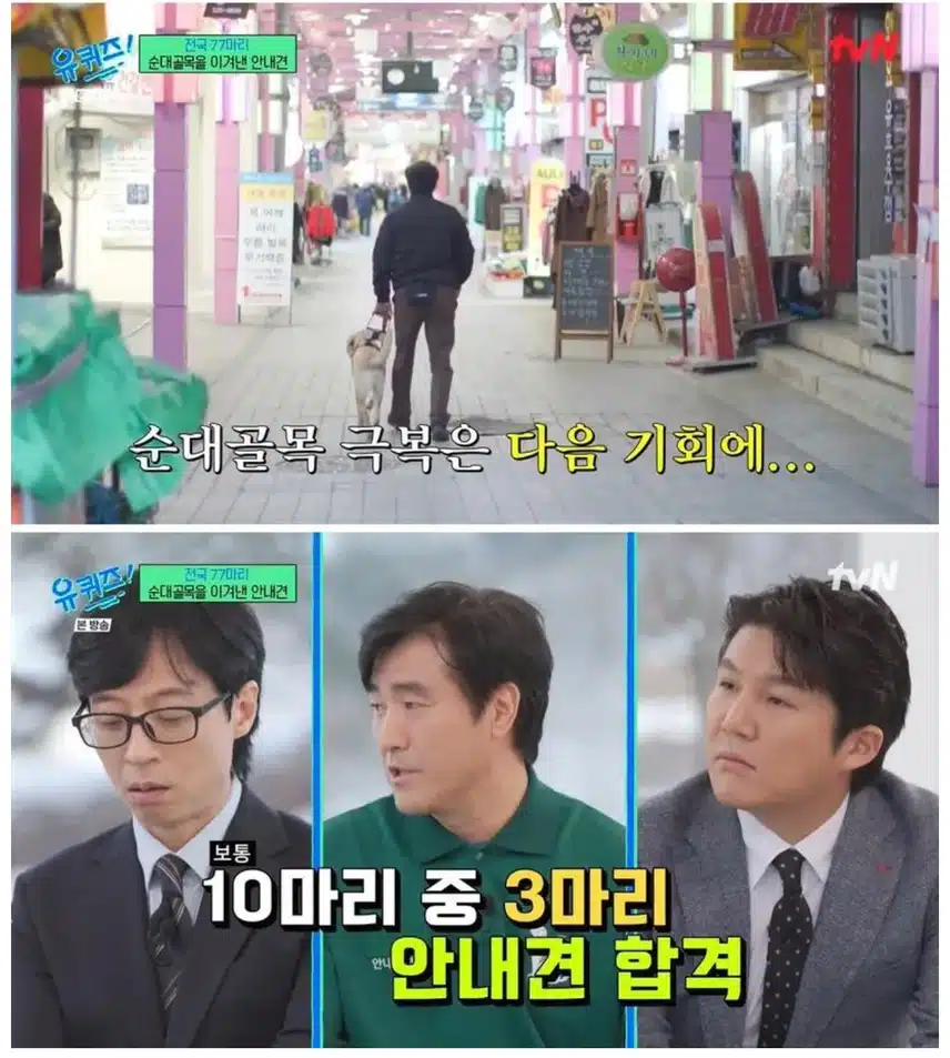 안내견 마지막 최종 테스트
