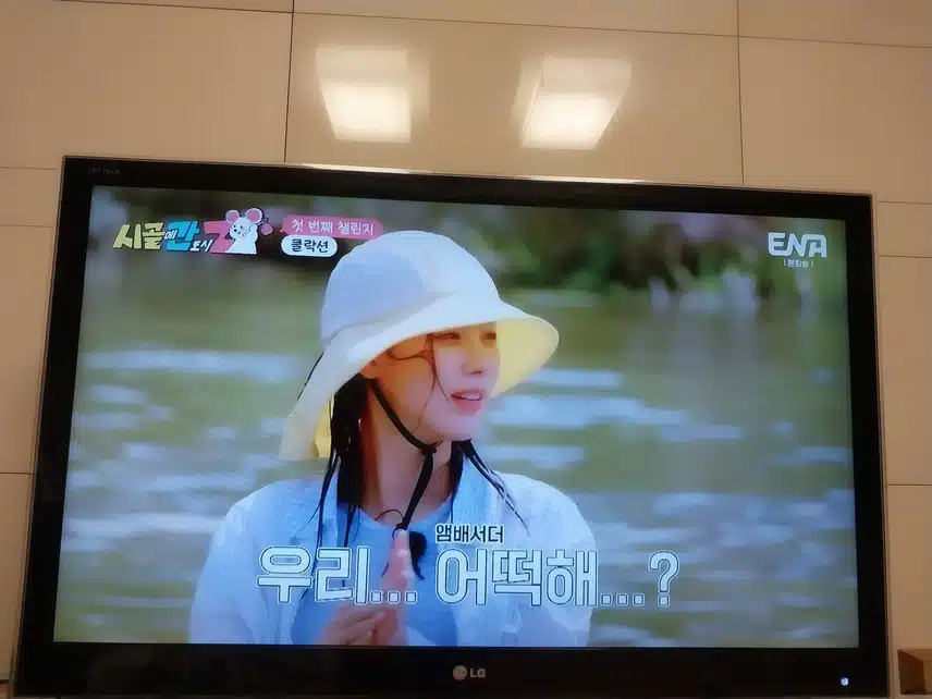 시골에 간 도시 쥐 