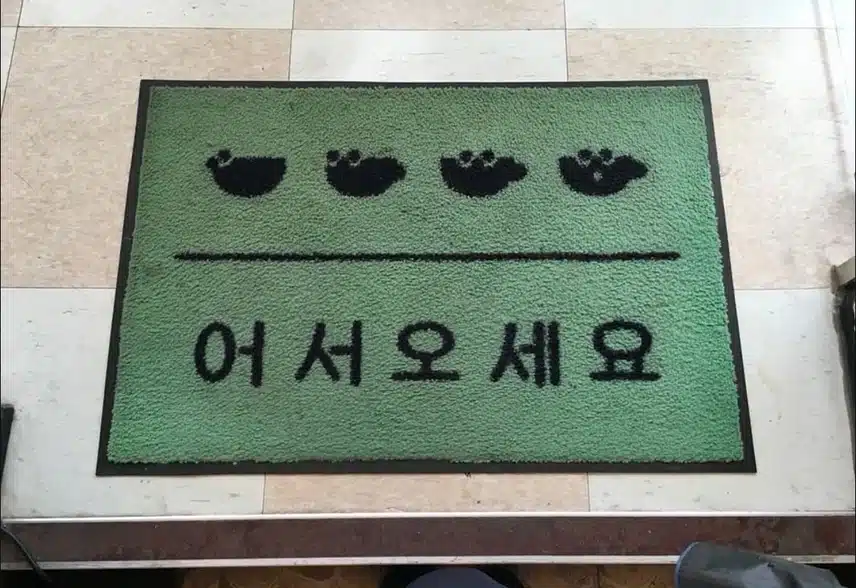 화장도 템빨이다✨ 가성비 브러시 모음zip. 