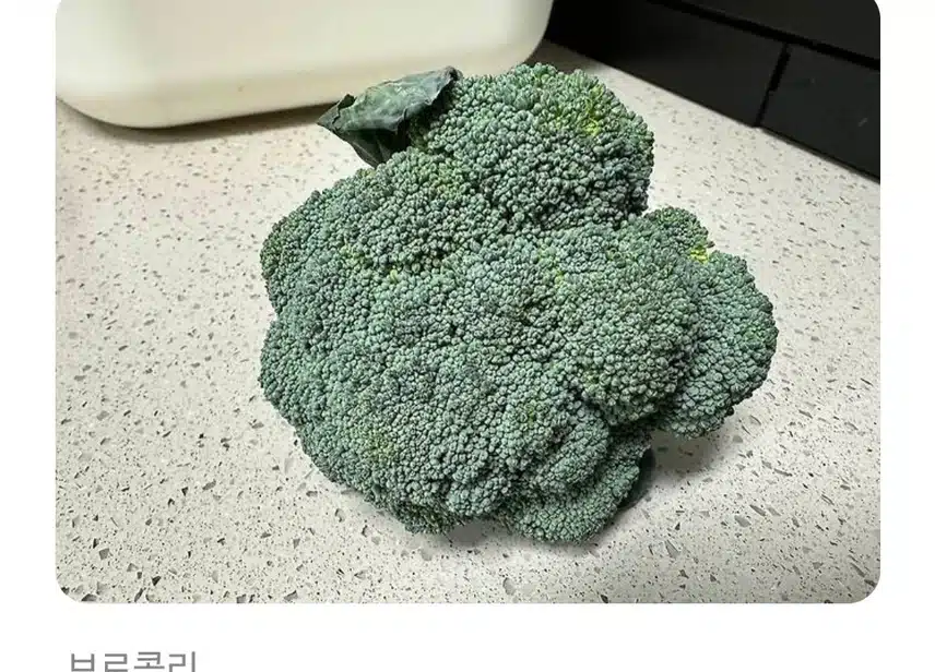 브로콜리 이렇게 세척하면 농약 다 먹는 거라고?!