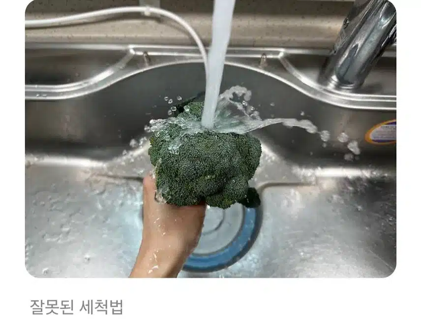 브로콜리 이렇게 세척하면 농약 다 먹는 거라고?!