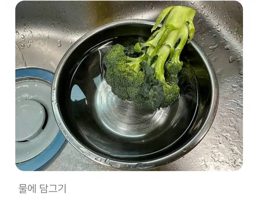 브로콜리 이렇게 세척하면 농약 다 먹는 거라고?!
