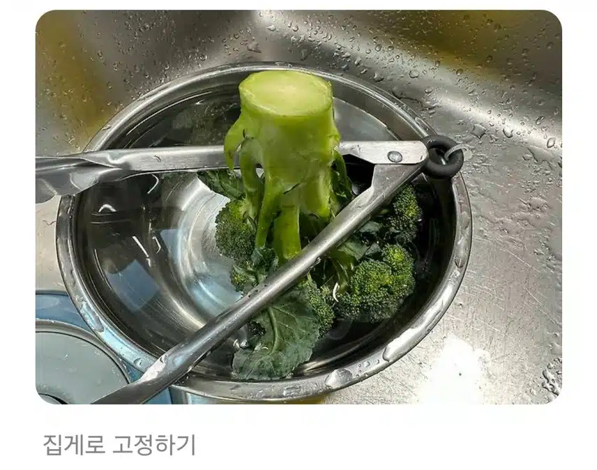 브로콜리 이렇게 세척하면 농약 다 먹는 거라고?!