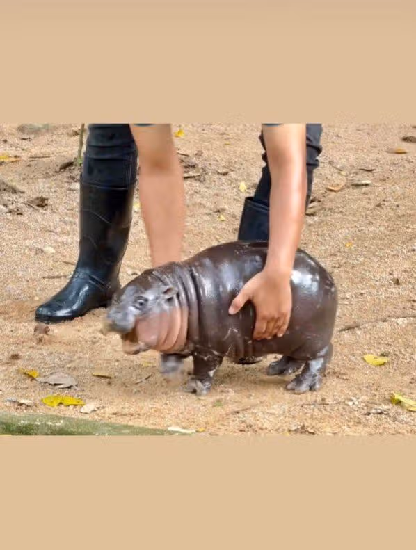 유명한 닝닝 인스타 감성