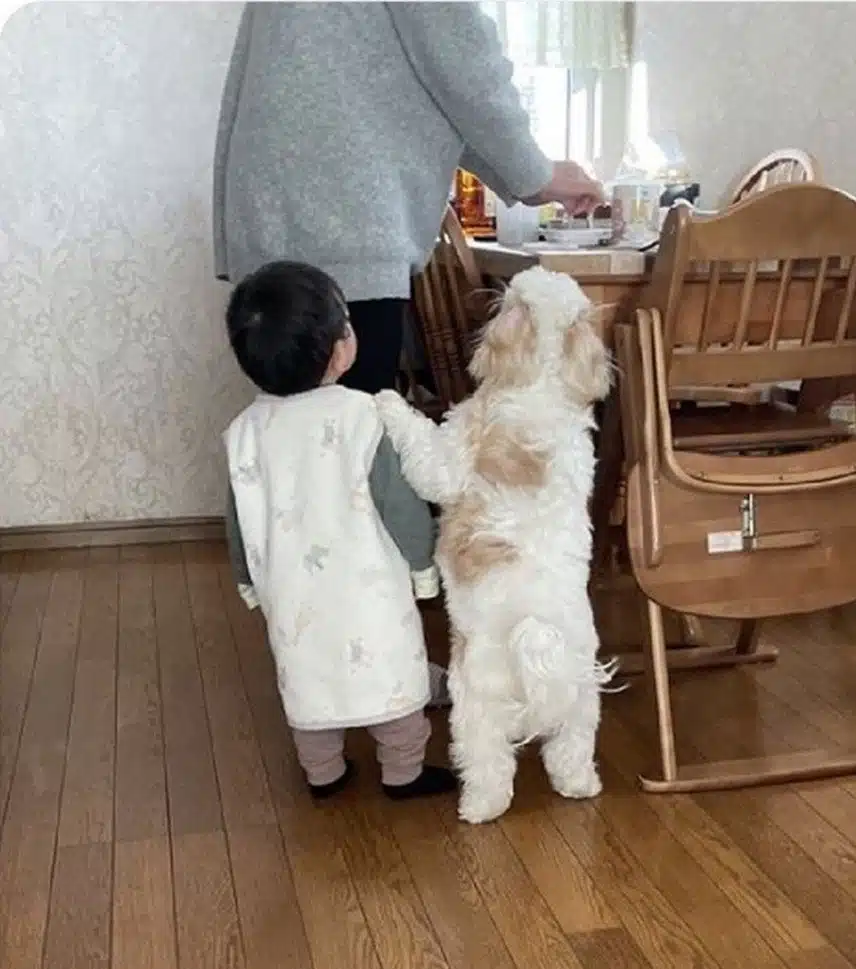 기분 좋아지는 사진입니다. 