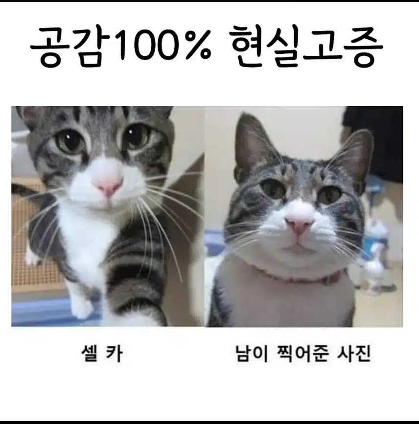웃고가요