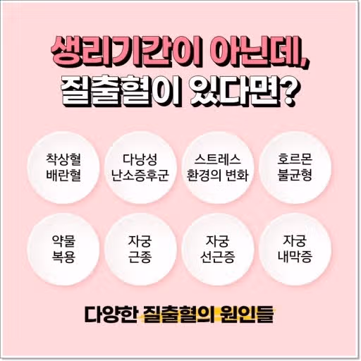 식욕억제제 부작용으로 한달에 부정출혈 3번 겪은 경험 공유합니다