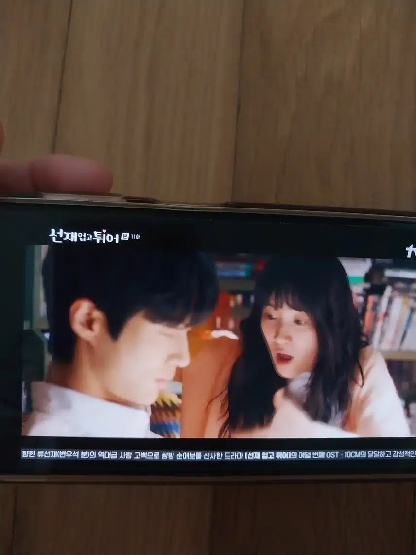 솔이 침사건