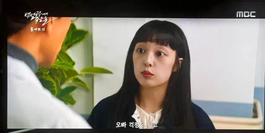 몰아보기 보고있어요 
