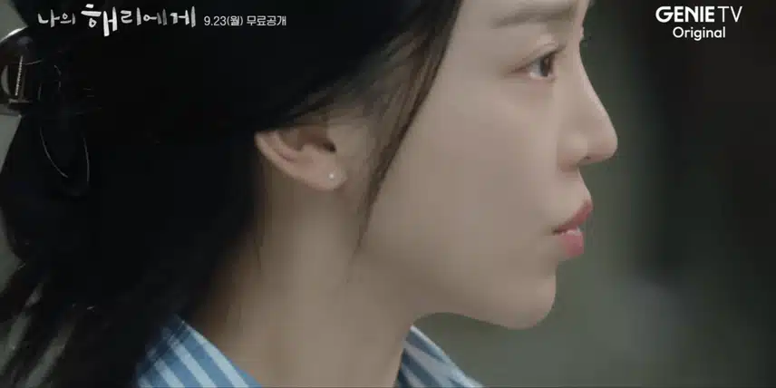 나의해리에게 