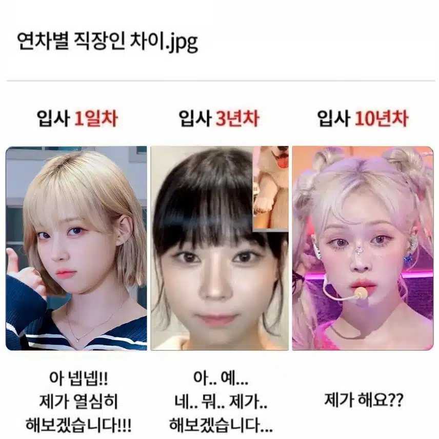 연차별 직장인 변화(윈터 편)