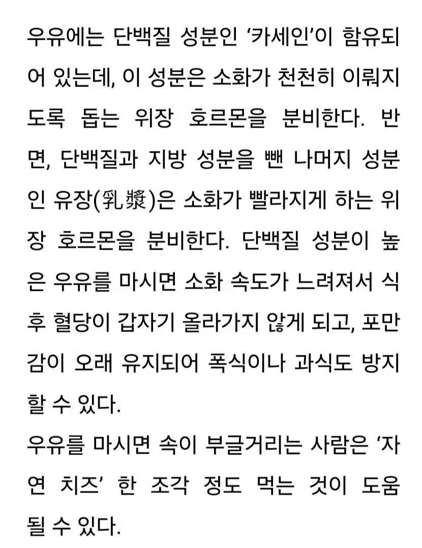 식전 우유 🥛  한 잔의 효능