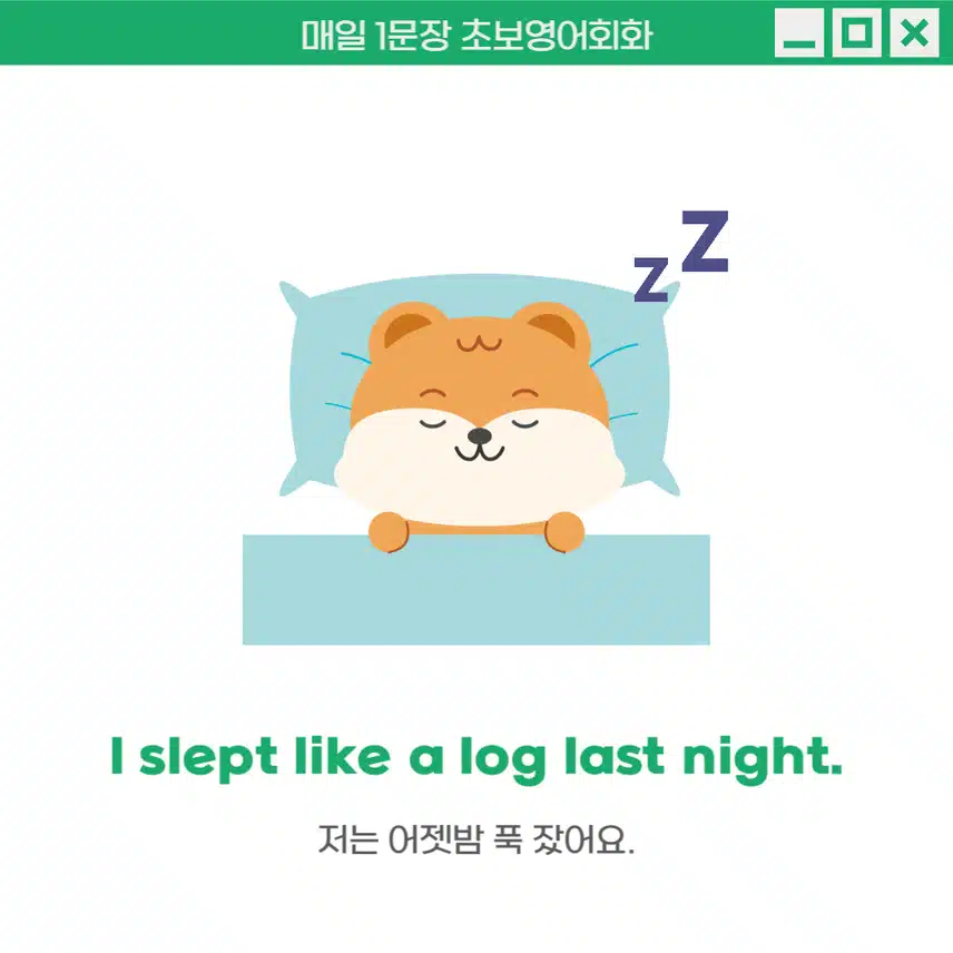 '세상 모르고 자다' - 주변에서 무슨 일이 일어나도 깨지 않고 잠들었을 때 사용해보세요!