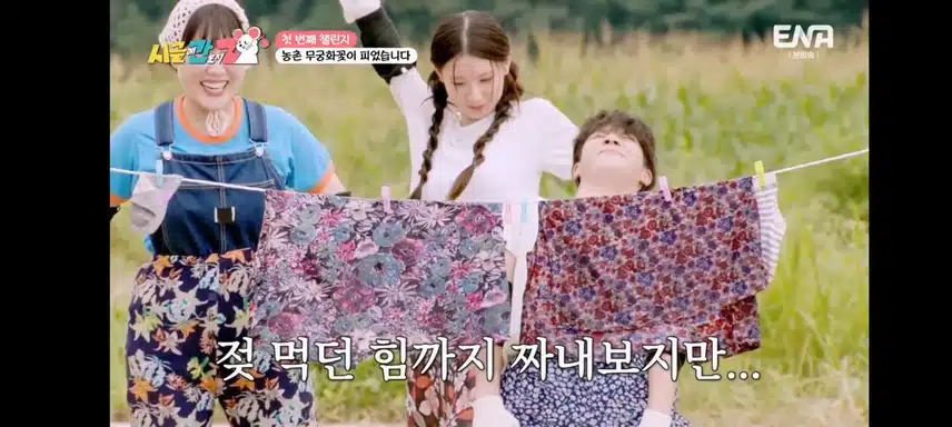 시골에간 도시 z
