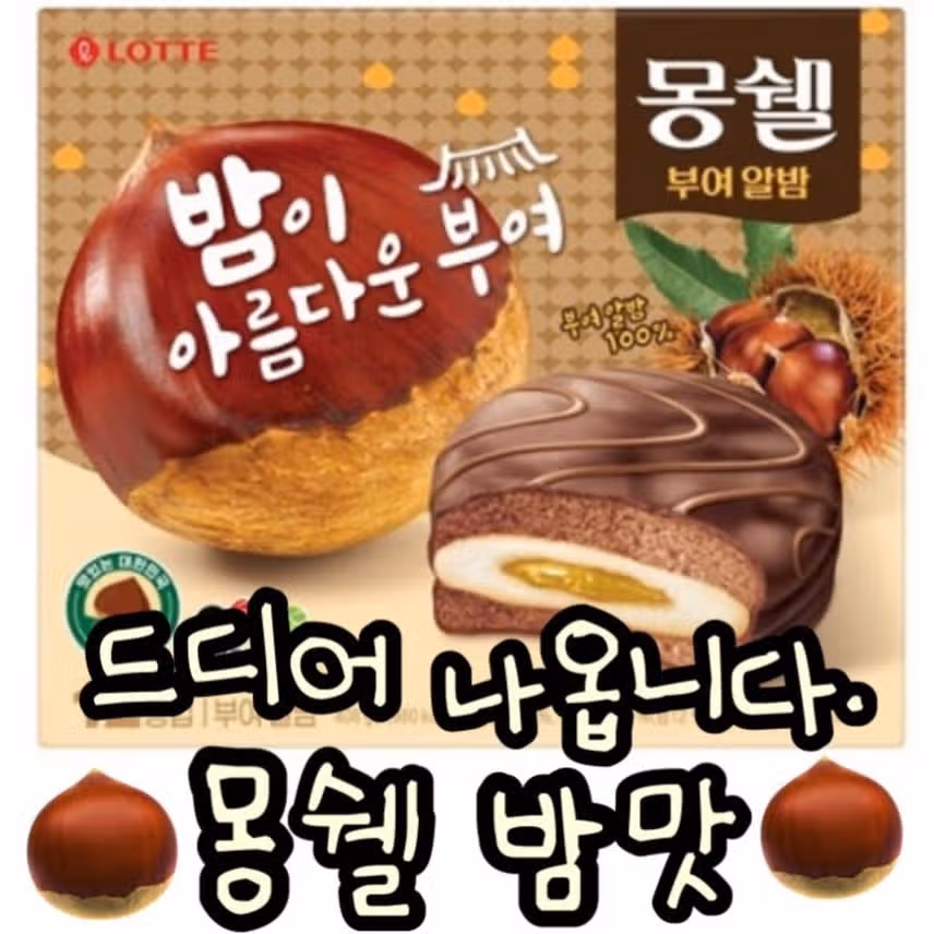 올 가을 신상 몽쉘 