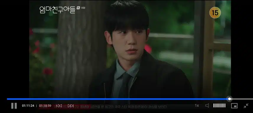 화해하는 승효 석류