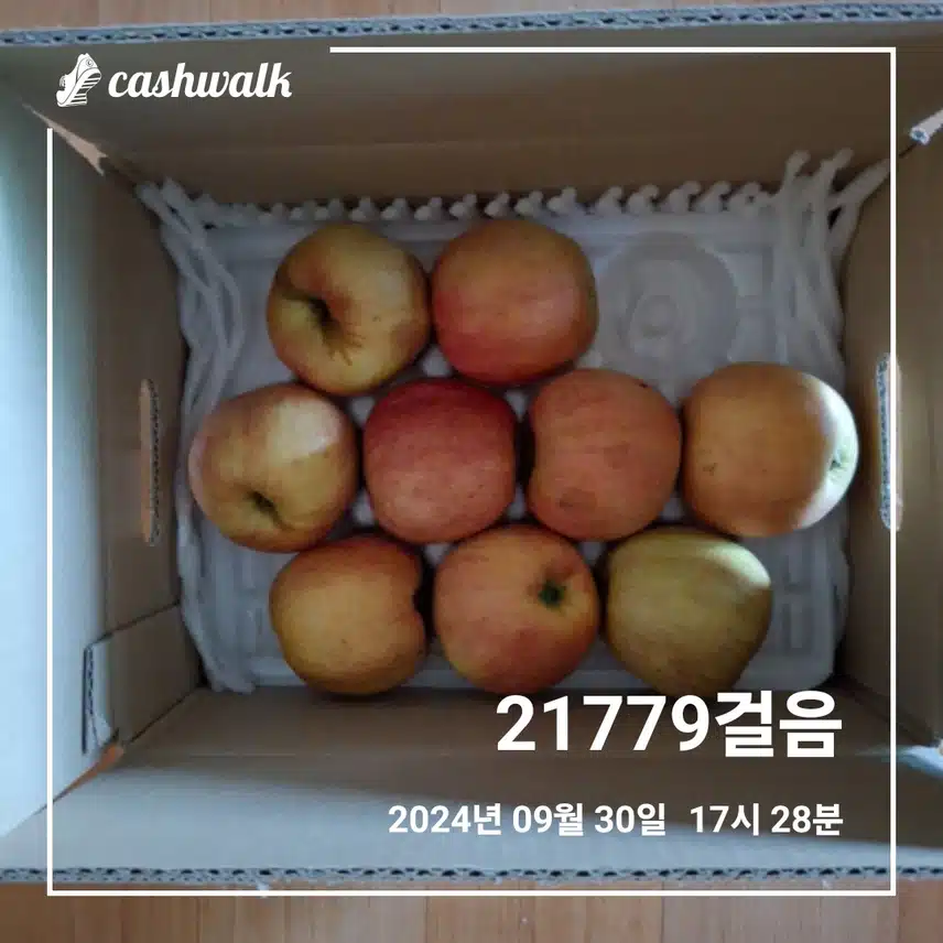 사과구입했어요