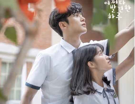 지금으로부터 5년전