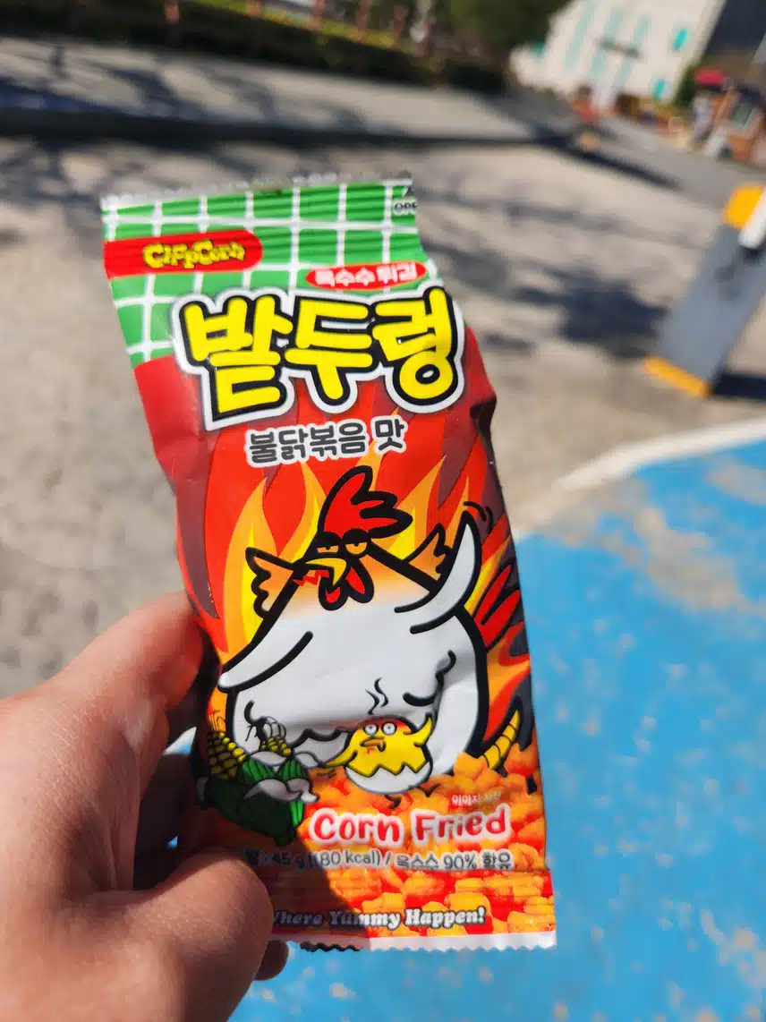이거 드셔보셨어요???🍪