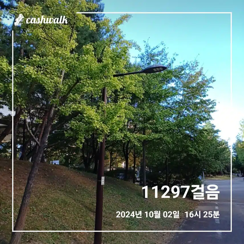 날이 좋아서 길게 산책중~