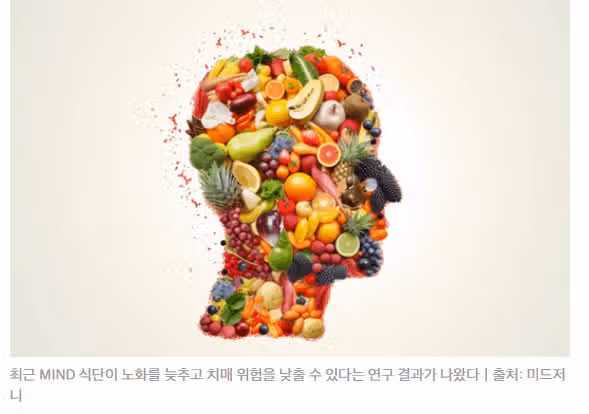 DASH.지중해식 식단을 따르면 인지기능저하를 막는다?