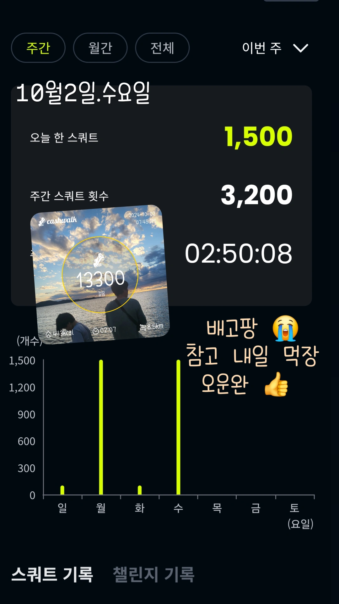 오운완 