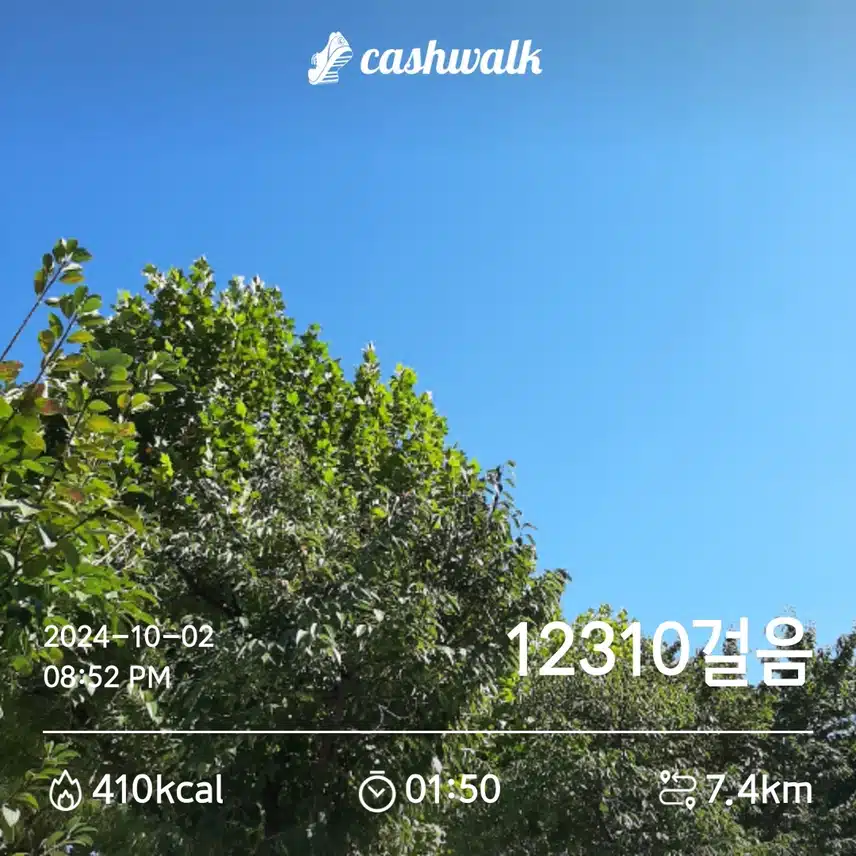 오늘의 걷기