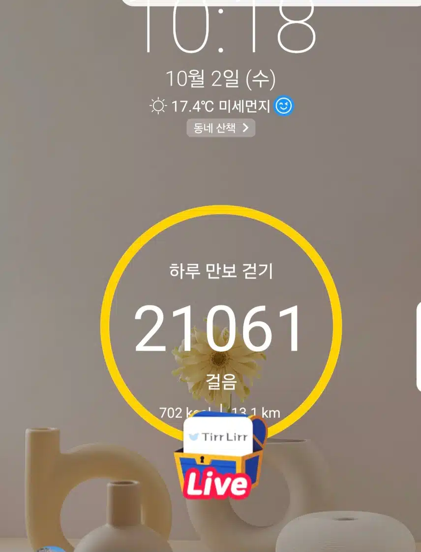 2만1천보 걷기