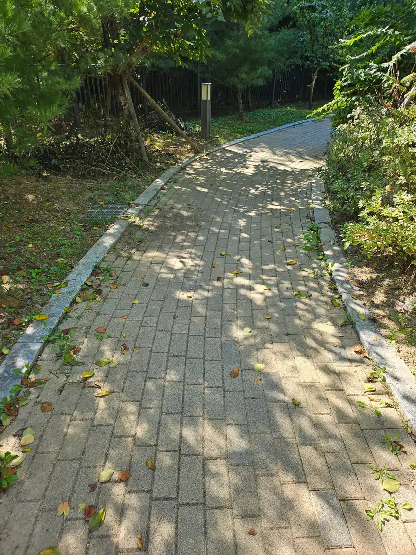 잠시 걷고있어요~❤️
