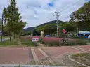 board-img