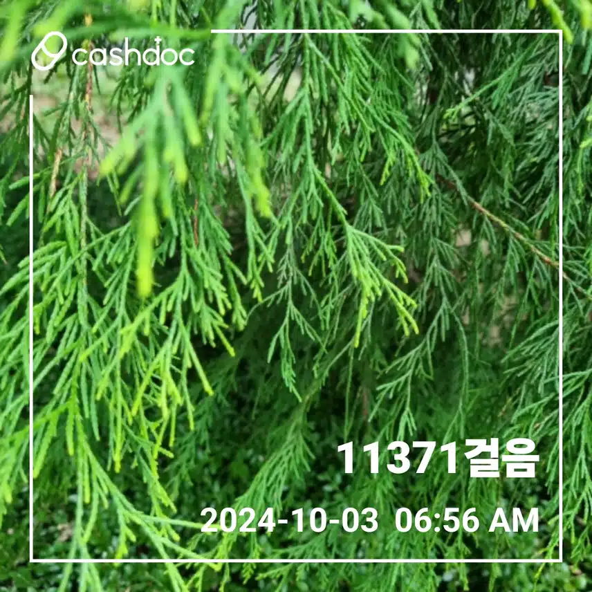   초겨울 같은 아침 날씨에