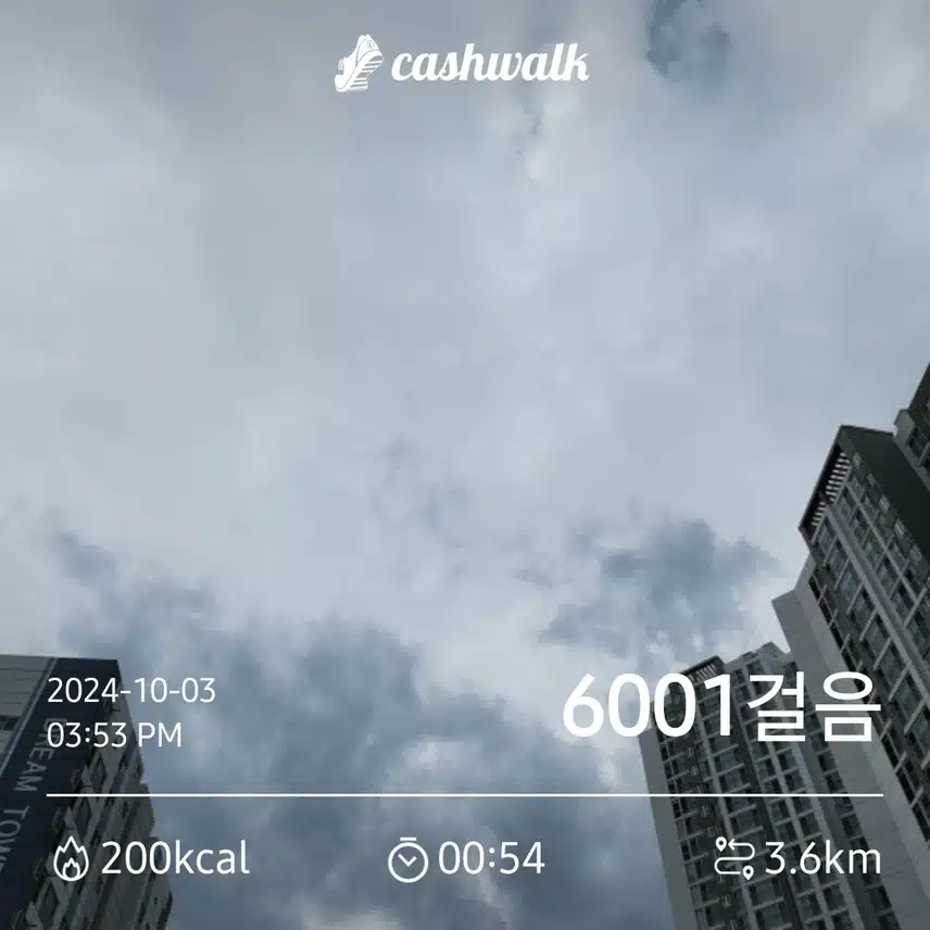 6,000보 인증
