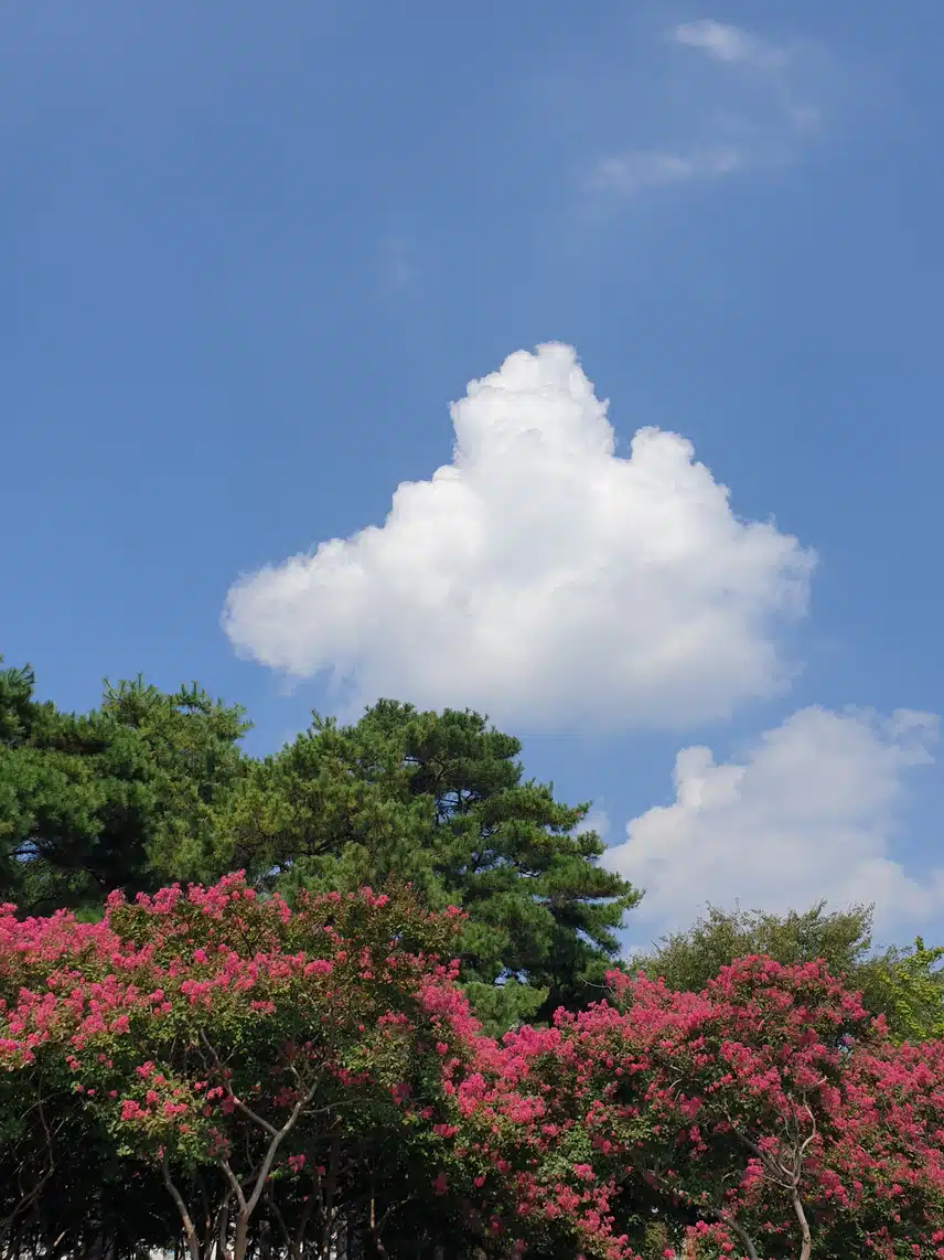 가을산책