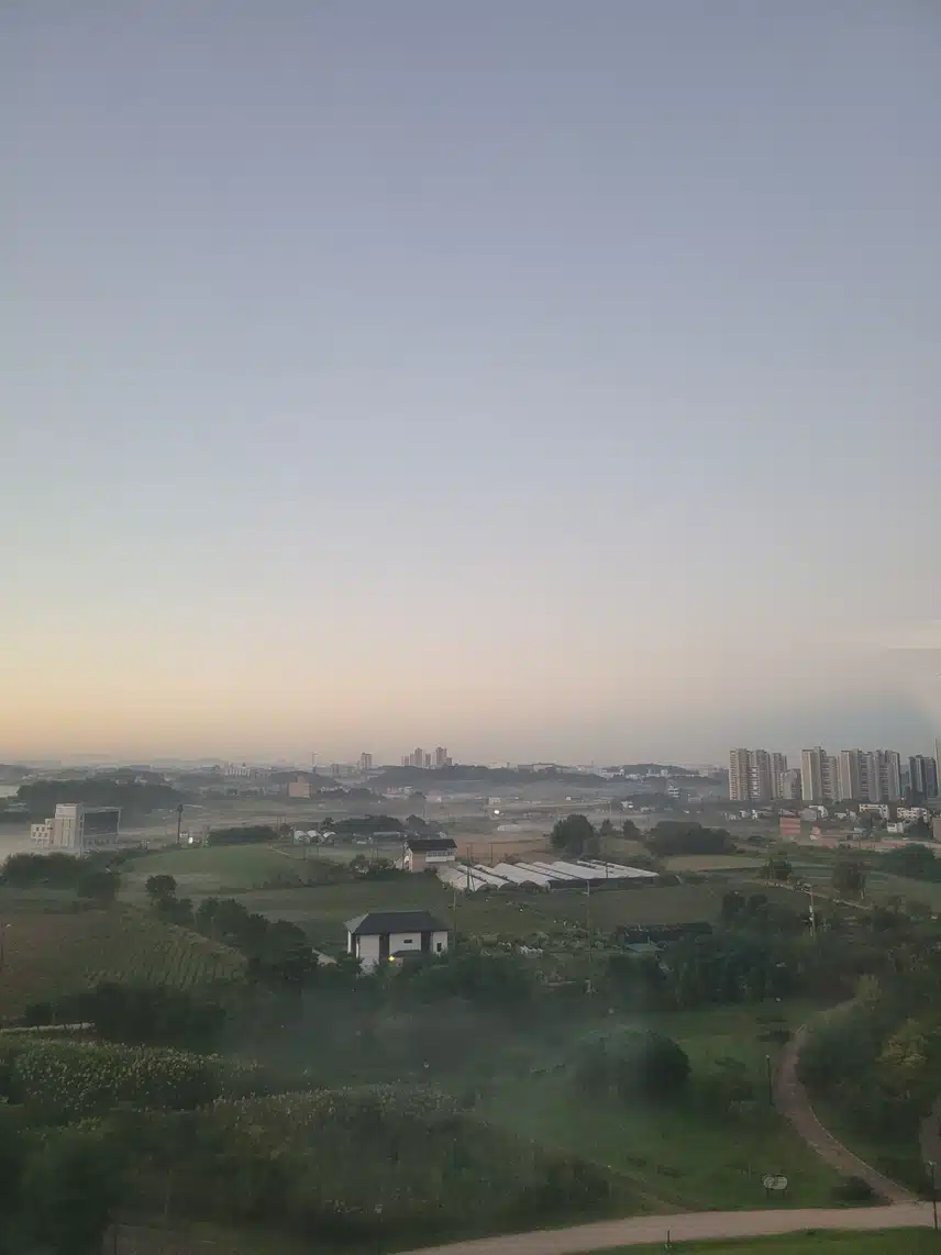 하루 시작이네요