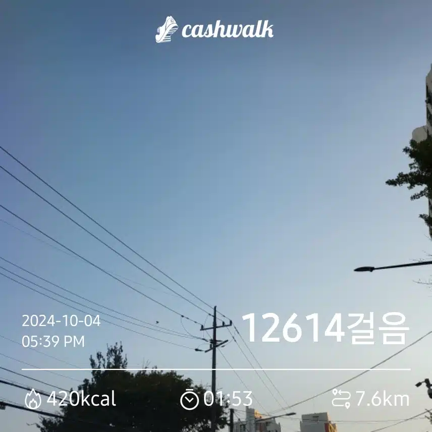 만보완주 하늘은 코발트색입니다