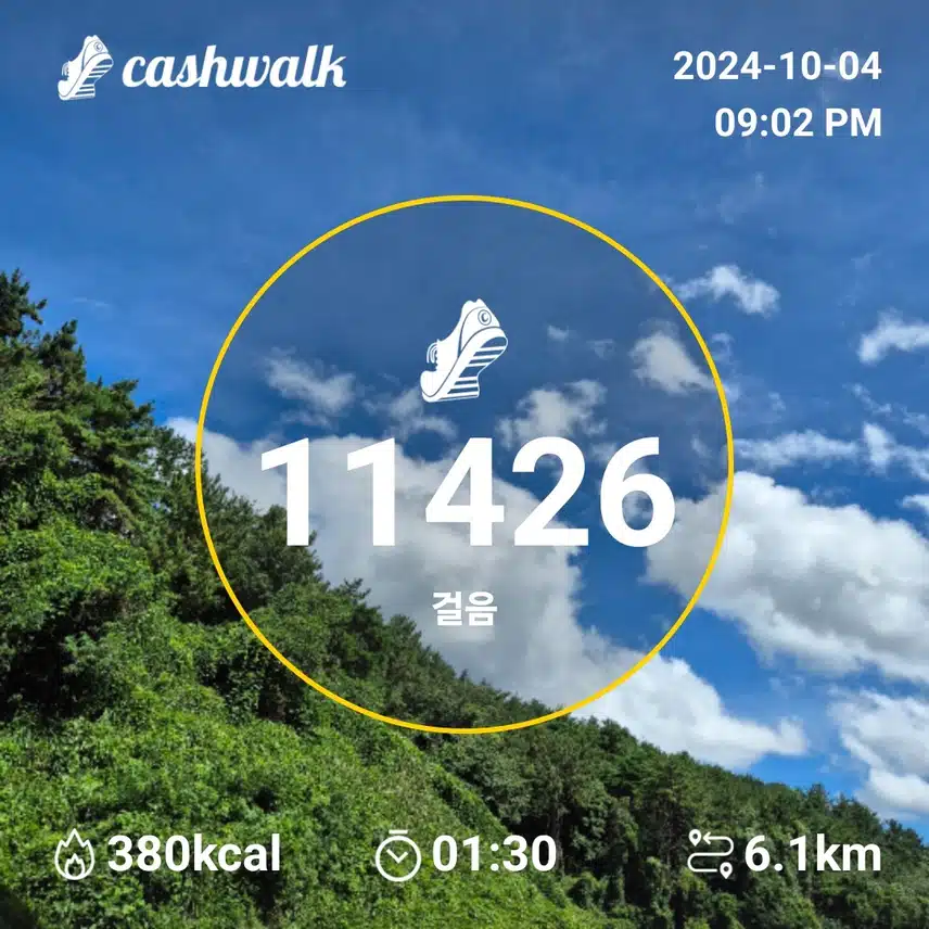 만보인증