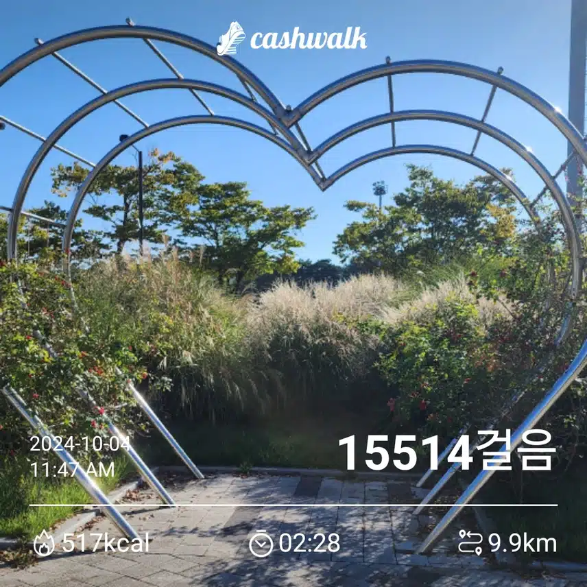 오전에 1만5천보 ~♡