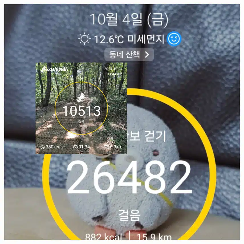 금요일 걷기운동. 인증이예요