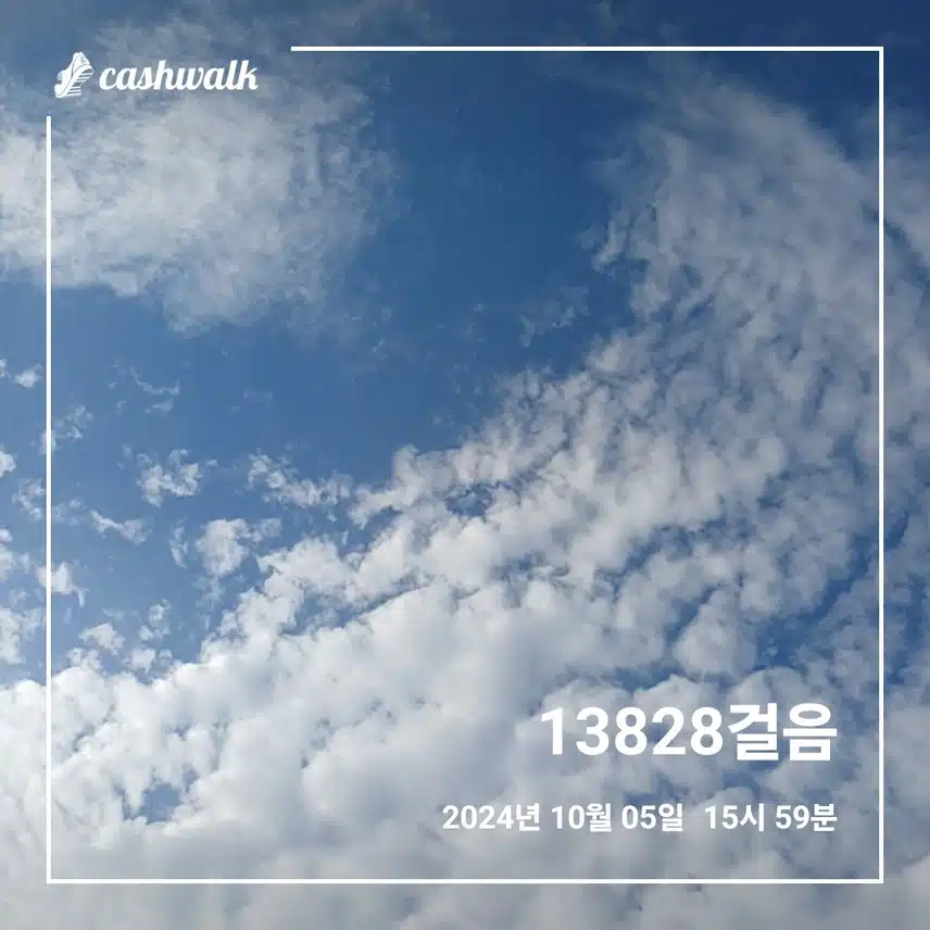 만보걷기 