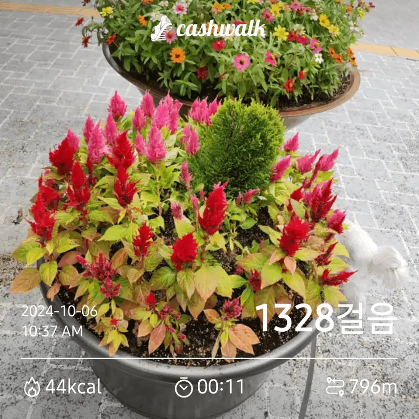 주변 산책 하다보니 아름다운 꽃들이 줄줄