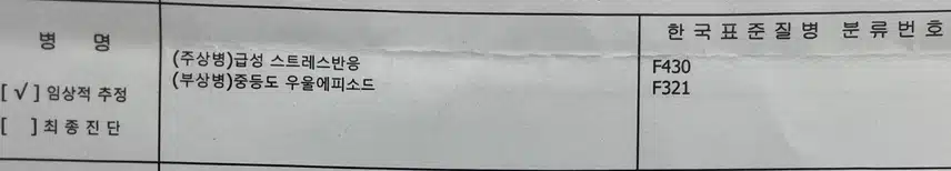 우울증 난생 처음 겪고 헤매며 극복한 후기