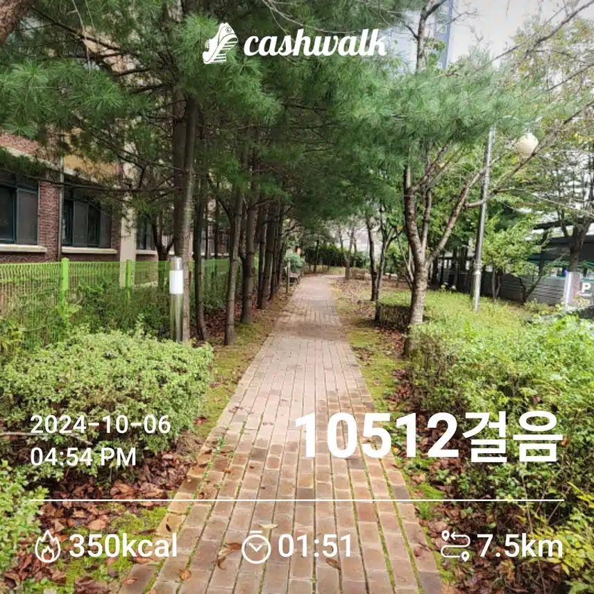 오늘도 만보걷기~^